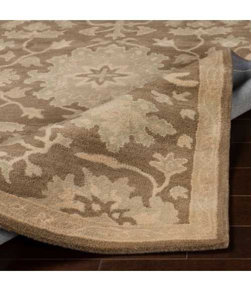 CAESAR RUG Livabliss Caesar CAE-1149-6x9OVAL rug