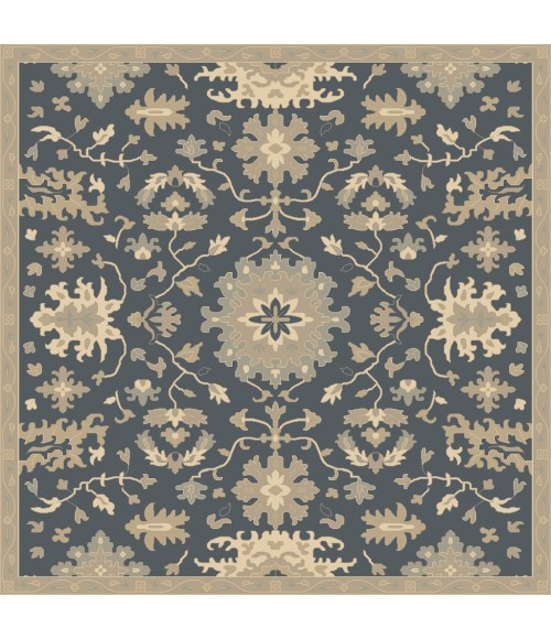Livabliss Caesar CAE-1154-5x8 rug