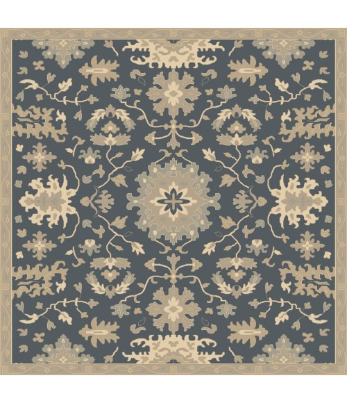 Surya Caesar CAE-1154-4SQUARE rug