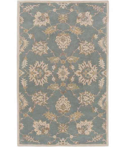 Surya Caesar CAE-1156-6SQUARE rug