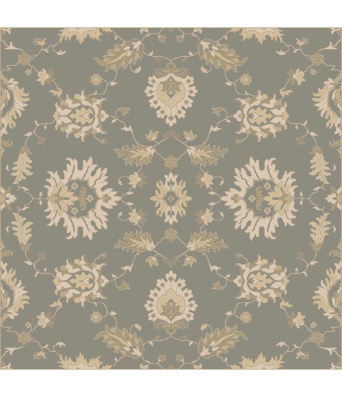 Surya Caesar CAE-1156-6SQUARE rug