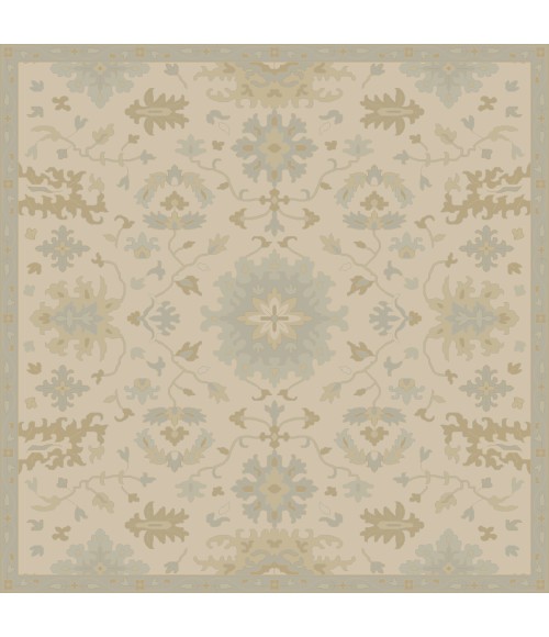 Livabliss Caesar CAE-1161-8x10OVAL rug