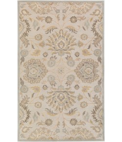 Livabliss Caesar CAE1192 Light Gray Khaki Area Rug 2 ft. X 3 ft. Rectangle