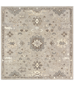 Surya Caesar CAE1197 Taupe Charcoal Area Rug 6 ft. Square