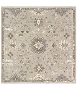 Livabliss Caesar CAE1197 Taupe Charcoal Area Rug 6 ft. Square