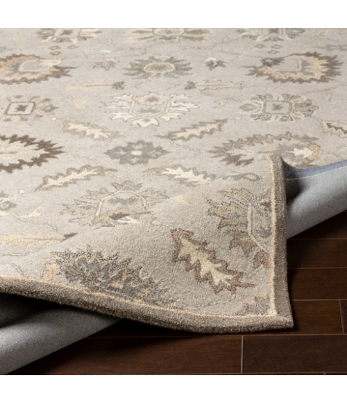 CAESAR RUG Surya Caesar CAE-1198-810Oval