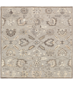 Surya Caesar CAE1198 Taupe Charcoal Area Rug 8 ft. Square