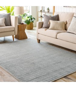 Surya Carre CCR2303 Denim Beige Area Rug 8 ft. 10 in. X 12 ft. Rectangle