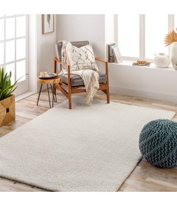 Livabliss Cloudy Shag CDG2302 Beige Light Grey Area Rug 6 ft. 7 in. X 9 ft. Rectangle