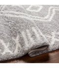 Livabliss Cloudy Shag Rug CDG2312