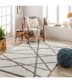 Livabliss Cloudy Shag CDG2316 Light Grey Beige Area Rug 6 ft. 7 in. X 9 ft. Rectangle