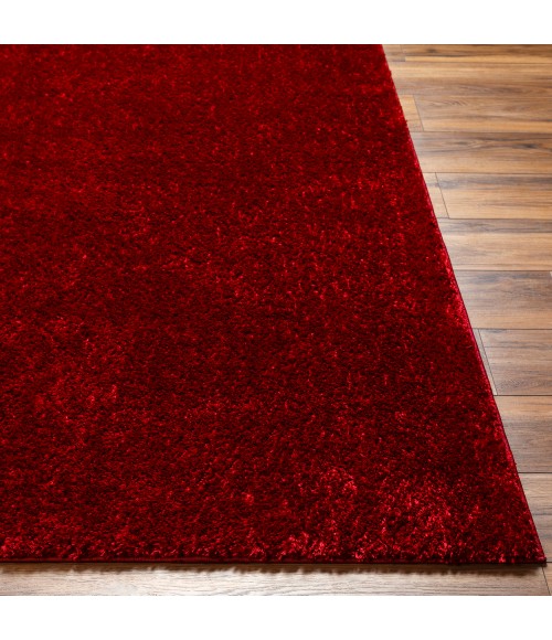 Livabliss Cloudy Shag Rug CDG2325
