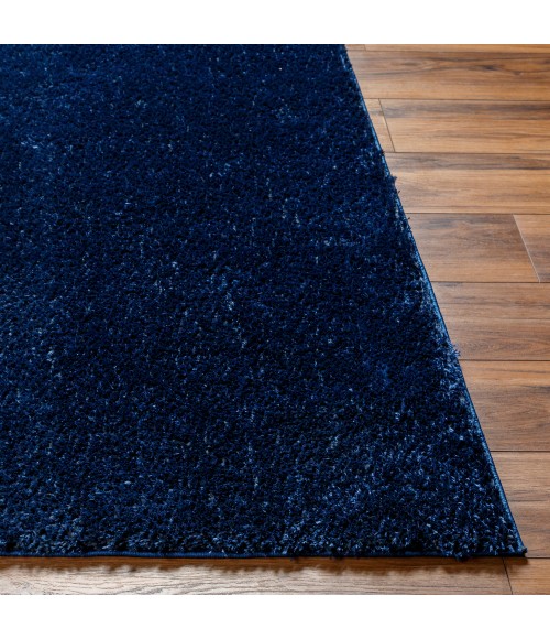Livabliss Cloudy Shag Rug CDG2326