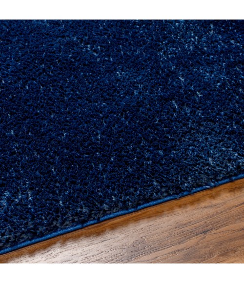 Livabliss Cloudy Shag Rug CDG2326