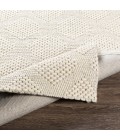 Surya Colarado CDO-2300 8 10 x 12  Rug