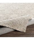 Surya Colarado CDO-2301 2  x 3  Rug