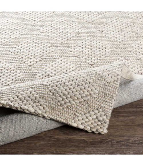 Surya Colarado CDO-2301 2  x 3  Rug