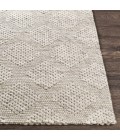 Surya Colarado CDO-2301 2  x 3  Rug