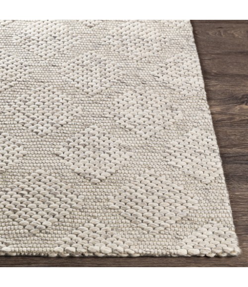 Surya Colarado CDO-2301 2  x 3  Rug
