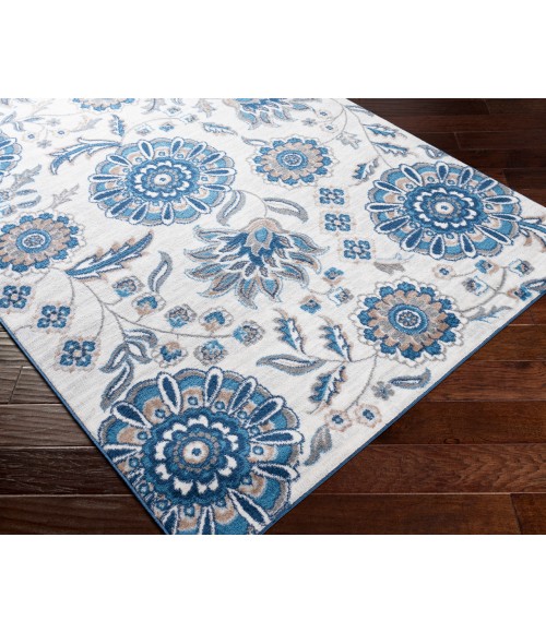 Cesar CEG-2360 5'3" x 7' Machine Woven Rug