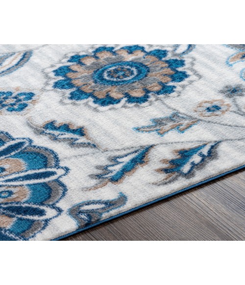 Cesar CEG-2360 5'3" x 7' Machine Woven Rug