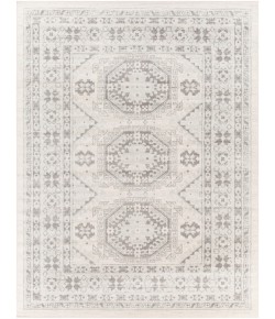 Livabliss Chester CHE2309 Light Gray Medium Gray Area Rug 7 ft. 10 in. X 10 ft. 3 in. Rectangle
