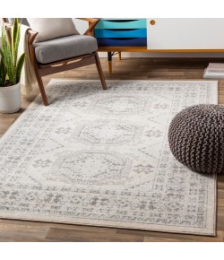 Livabliss Chester CHE2309 Light Gray Medium Gray Area Rug 5 ft. 3 in. X 7 ft. 3 in. Rectangle