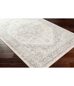 Surya Chester CHE2312 Light Gray Medium Gray Area Rug 7 ft. 10 in. X 10 ft. 3 in. Rectangle