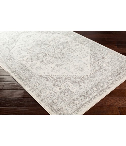 Livabliss Chester CHE-2312 Area Rug