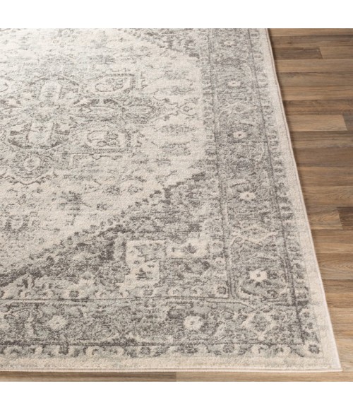 Livabliss Chester CHE-2312 Area Rug
