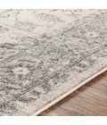 Livabliss Chester CHE-2312 Area Rug