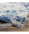 Livabliss Chester CHE-2342 6 7 x 9  Rug