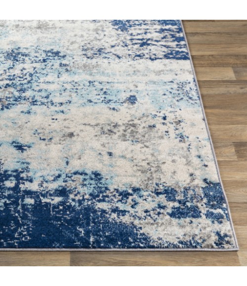 Livabliss Chester CHE-2342 6 7 x 9  Rug
