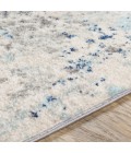Livabliss Chester CHE-2342 6 7 x 9  Rug