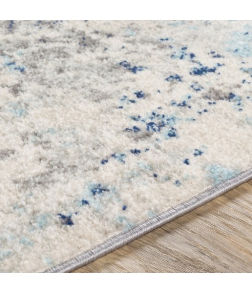 Livabliss Chester CHE-2342 6 7 x 9  Rug