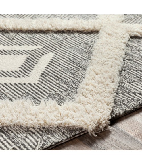 CHEROKEE RUG Surya Cherokee CHK-2303 Area Rug