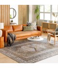 Livabliss Colin CLN-2303 7 ft.10 in. x 10 ft.2 in. Rug