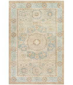 Surya Cambridge CMB8014 Aqua Medium Gray Area Rug 2 ft. X 3 ft. Rectangle
