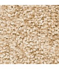 Surya Cumulus CML-2000-2x3 rug