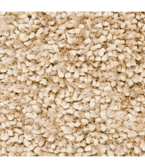 Surya Cumulus CML-2000-2x3 rug