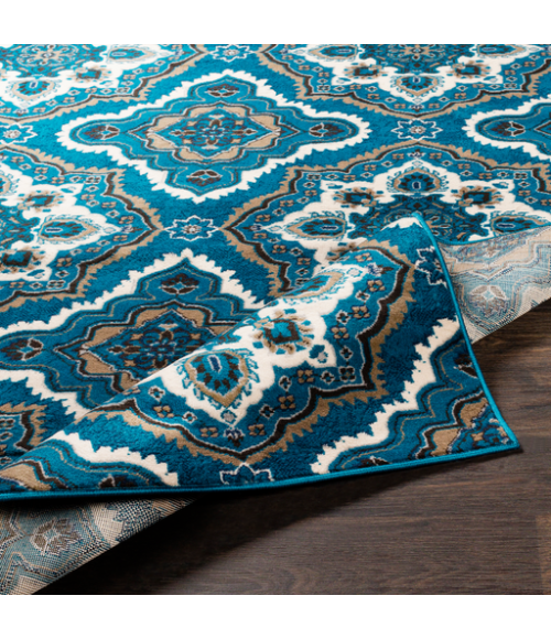 CLAIRMONT RUG Surya Clairmont CMT-2305-93123