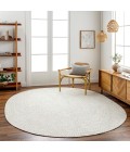 Livabliss Chesapeake bay CPK-2303 6  x 9  Oval Rug