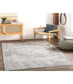 Livabliss Carmel CRL2304 Light Gray White Area Rug 9 ft. X 12 ft. Rectangle