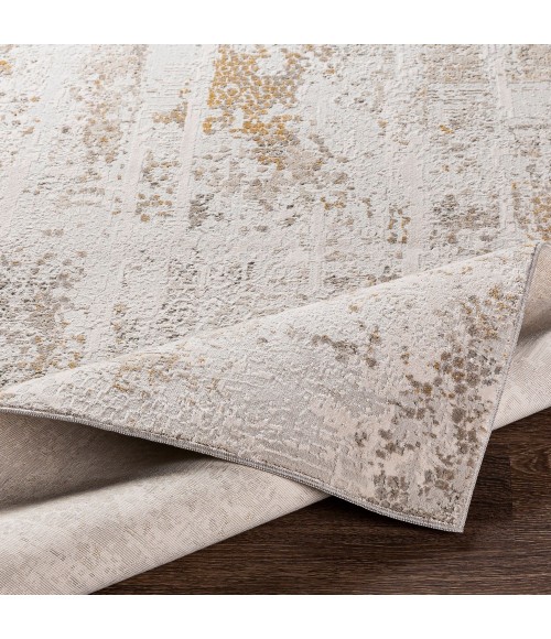 Surya Carmel CRL-2310 10  x 14  Rug