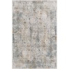 Livabliss Carmel CRL2317 Taupe Light Gray Area Rug 10 ft. X 14 ft. Rectangle