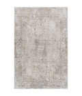 Surya Carmel CRL-2318 10  x 14  Rug