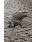 Surya Crystal CRY-2000-8x10 rug