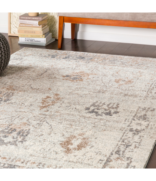 CHELSEA RUG Surya Chelsea CSA-2323-710103