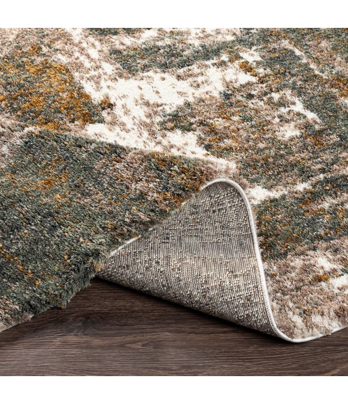Surya Celestial shag CSG-2306 5 3 x 7  Rug