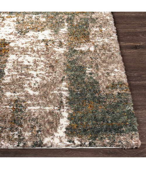 Surya Celestial shag CSG-2306 5 3 x 7  Rug